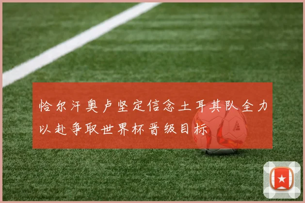 恰尔汗奥卢坚定信念土耳其队全力以赴争取世界杯晋级目标