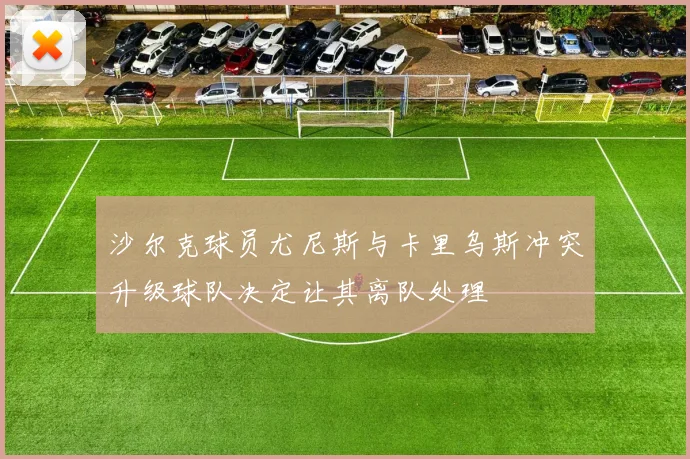 沙尔克球员尤尼斯与卡里乌斯冲突升级球队决定让其离队处理