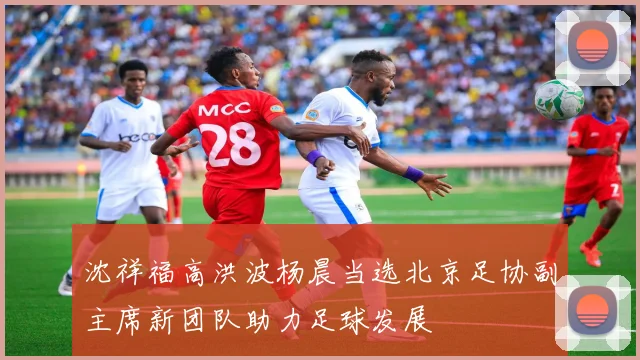 沈祥福高洪波杨晨当选北京足协副主席新团队助力足球发展