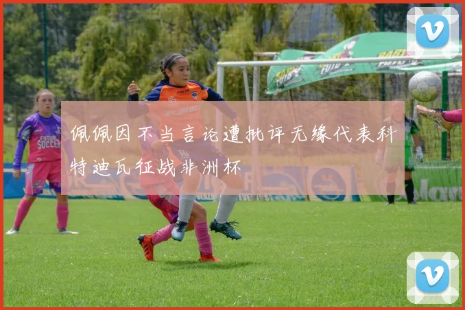 佩佩因不当言论遭批评无缘代表科特迪瓦征战非洲杯